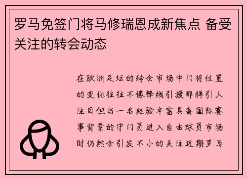 罗马免签门将马修瑞恩成新焦点 备受关注的转会动态